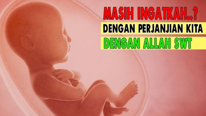ASTAGFIRULLAH..!! INILAH PERJANJIAN KITA KEPADA ALLAH SWT SEBELUM DILAHIRKAN KE DUNIA.