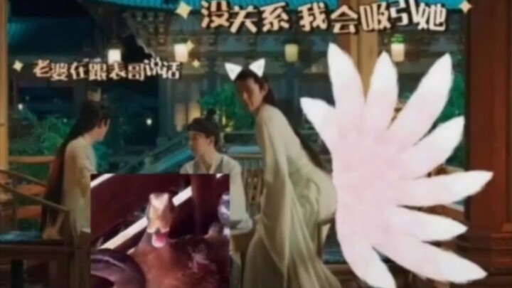 长相思好好一部虐剧硬生生被网友搞成喜剧