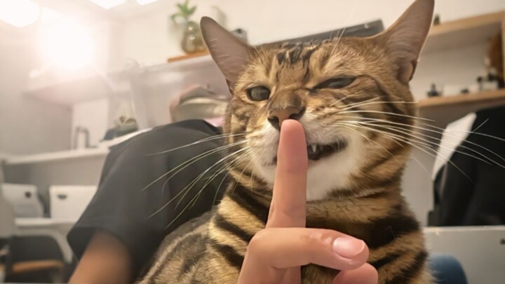 “Woman, You’re Also Fascinated by Me, Aren’t You?”