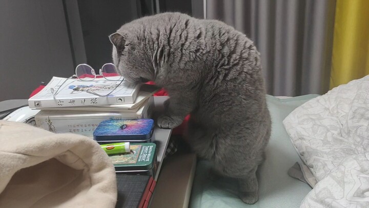 What on earth is that sleazy blue cat up to?