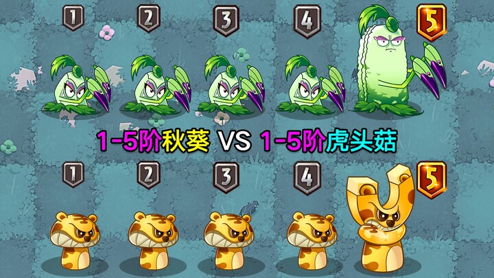 البامية من المستوى 1 إلى 5 مقابل فطر رأس النمر من المستوى 1 إلى 5! نتائج المعركة مختلطة بين الفوز وا