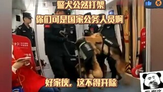 好家伙!国家公务人员警犬公然打架 ，这不得开除