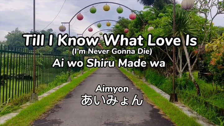 Ai wo Shiru Made wa (Till I Know What Love Is) Aimyon  | Short Ver. Cover by muhsodr