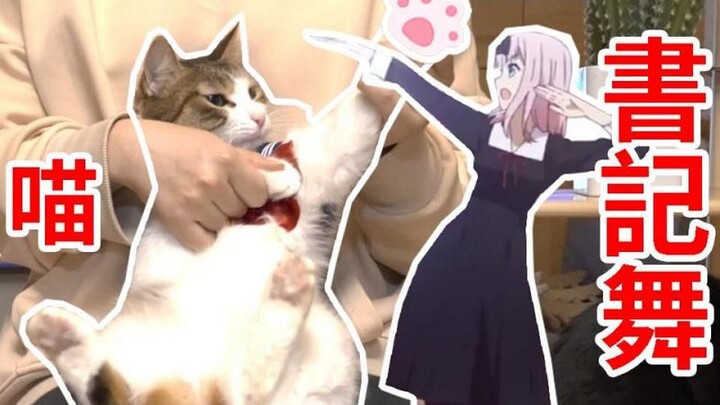 【喵放送】可爱猫猫跳书记舞| 喵舞 | Cat Dance