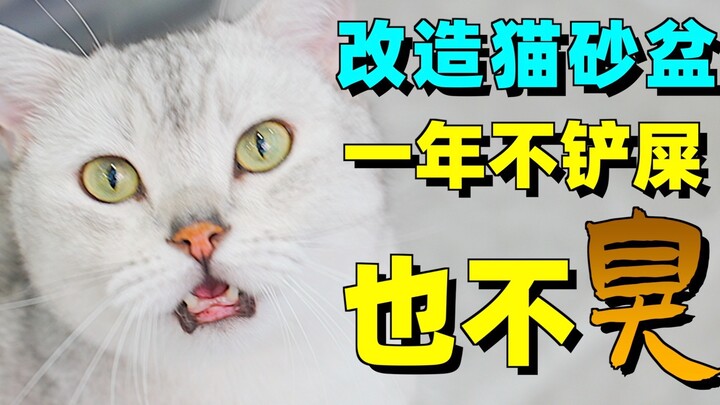 How can a cat litter box be both poop-free and odor-free? It’s all about cutting-edge tech and ruthl