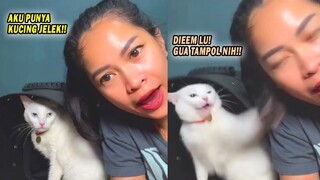 Majikan Auto Kena Tamp01! Reaksi Kucing Ketika Dibilang Jelek Sama Majikannya! Video Kucing Lucu