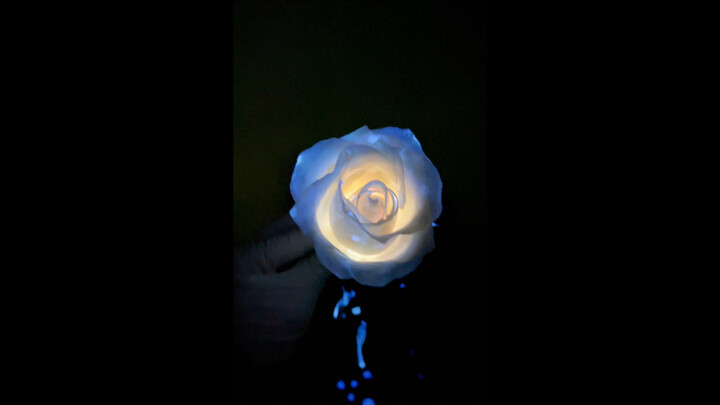 Kimia + Mawar == Romantis