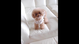 น่ารักอ่ะ แสนรู้🥰