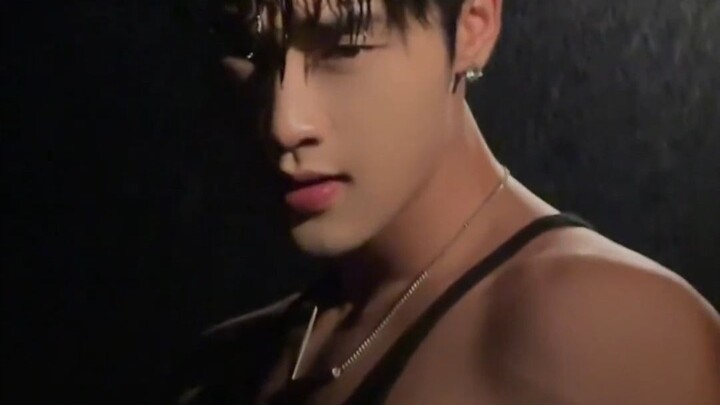 Is this my roommate or a dog?