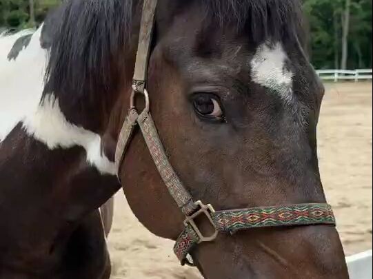 Tay vịn không phải do tôi làm hỏng đâu (hơi áy náy)