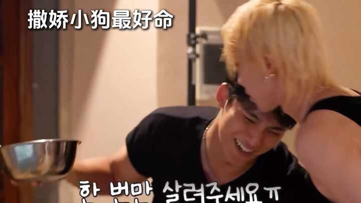 A hypocritical Min doggie
