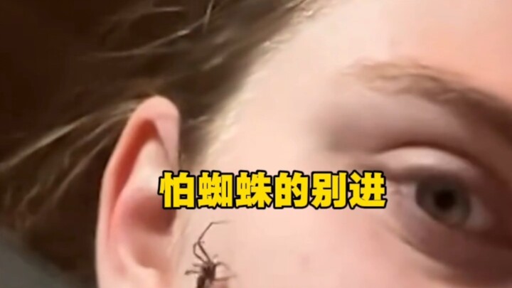 ใครกลัวแมงมุมอย่าเข้ามา