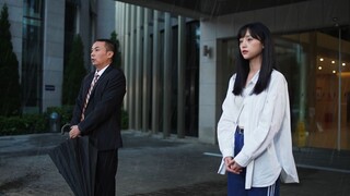 陈翔六点半：想和你在伞下，看尽人世繁华
