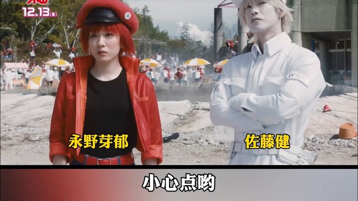 Film “Hataraku Saibou” menjelaskan trombosit dengan penuh kelembutan