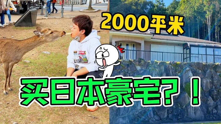 😂 Ở Nhật Bản đất đắt như vàng, mua hẳn một căn nhà riêng rộng 2000m²?! Mọi người giúp tôi xem có đán