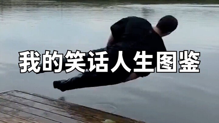 我的笑话人生图鉴