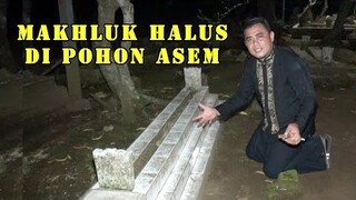 Bertemu juru kunci makam di tenga kuburan lumayan mengerikan