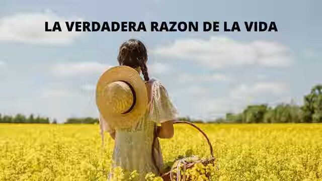 Sentido de la vida