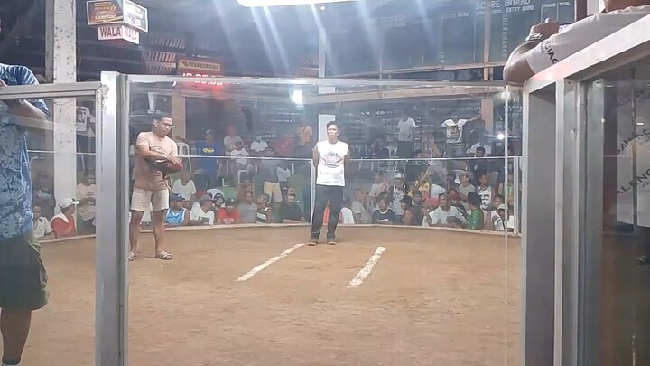 Nov 13 2025 3 Stag/Cock Combo 3rd Fight W