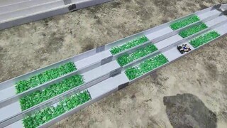 Pendaftaran lomba trek off-road penggerak empat roda Piala Xiaosha yang pertama dimulai, (tes lintas