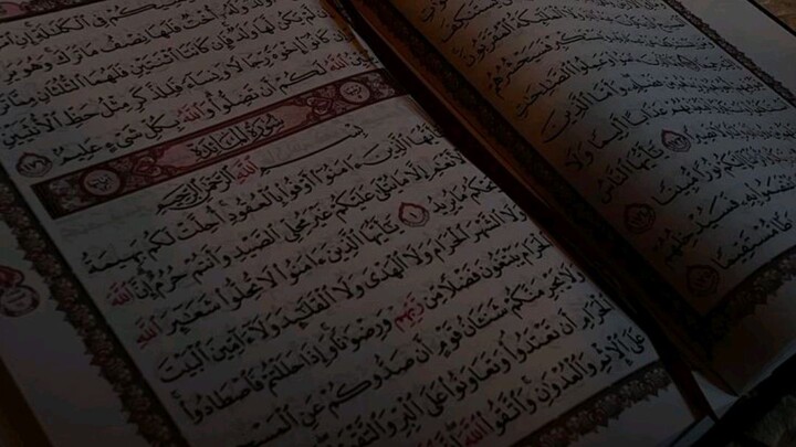 juma Mubarak to all Muslims#jumamubarak#quran#video
