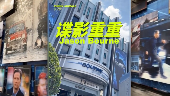 Universal Orlando Studios' "The Bourne Supremacy" stunt show is so cool!