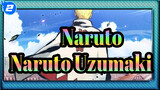 [Naruto]  "I'm Naruto Uzumaki, the Hokage of the Future!"_2