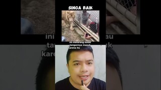 singa baik