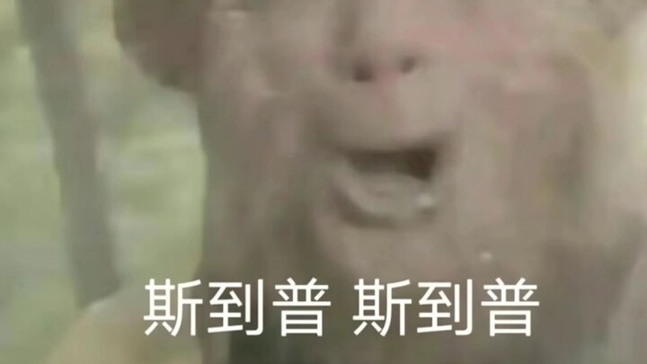 Ngọa Long – Phượng Sồ, cả hai đều nghiêm túc mà hài hước