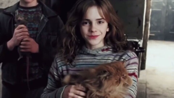 [Harry Potter] Đạo diễn muốn cạo trọc đầu để hạ thấp vẻ ngoài của Hermione, nhưng sau đó nhận thấy r
