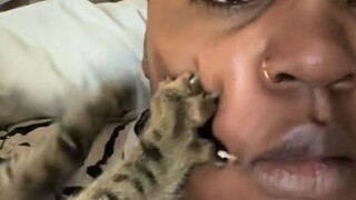 "هذا على الأرجح سبب تربية الناس للقطط!"