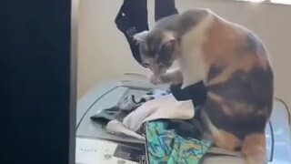 ako na mag dampot.. hiya ko sa inyo