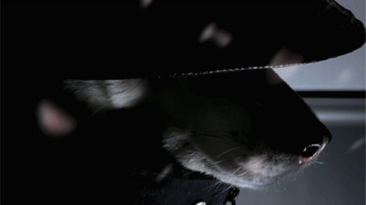 True kings never need excessive embellishment.