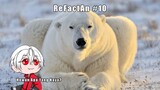 ReFactAn #10 (Beruang Kutub)