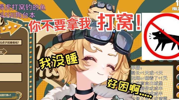 【赵狮虎】钓鱼很好运的小朋友梦里都在打窝