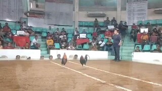 unang laban ni mayahin somayaw agad