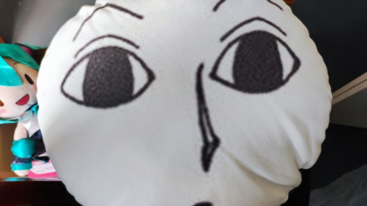 I ordered a custom-made Illumi face pillow