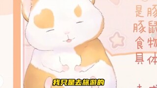 花玲老师出国旅游有多难……