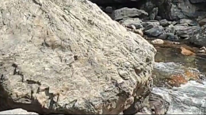 cast net fishing in Nepal | himalayan trout fishing with handmade cast net |