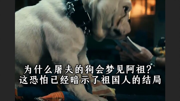 Tại sao con chó của gã đồ tể lại mơ thấy A Zu? Điều này e rằng đã ngầm báo trước kết cục của người T