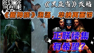【DC】导剪续集有望？巨石强森有意推动正联续集？《新神族》泡汤/DC最新资讯杂谈