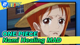 ONE PIECE【Healing AMV】Nami,you are my partner! No one is allowed to make my mariner cry!_2