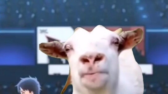 [อาจารย์ประจำ] มีมแมว แต่เป็นเฉียวอี้ฟาน