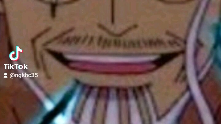 huyền phó của vua hải tặc