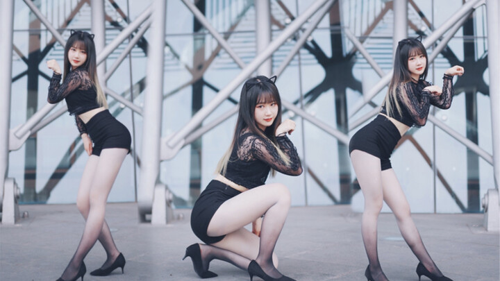Are you attracted by the gradient kitten?｜Like a Cat-AOA