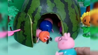 玩具动画：小猪们都回家喽