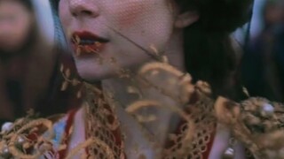 雾 中 花 | 今 夜 薄 雾 轻 拥 一 朵 玫 瑰 。