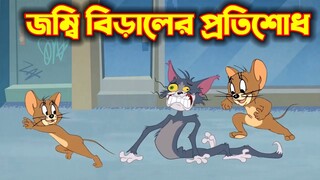 Tom and Jerry Bangla || জম্বি বিড়ালের প্রতিশোধ