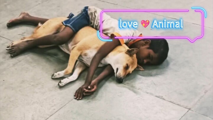 Animal Lover ❤️❤️