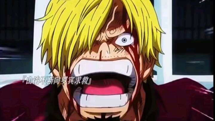 【Anime chữa lành】Sanji giữ vững phong thái quý ông, bị tra tấn cũng không đánh phụ nữ, Robin khí phá
